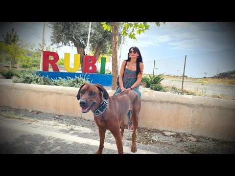 Rubite "Ein spanisches Dorf"..auf den Spuren der Auswanderer... . ein Dorf mit sehr viel Charme 🥰🥰