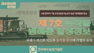 농작물 병해충 발생정보 7호 (2022.06.23~2022.07.06)