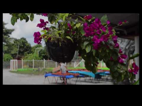 Xalak - Blackpottery - Chamba