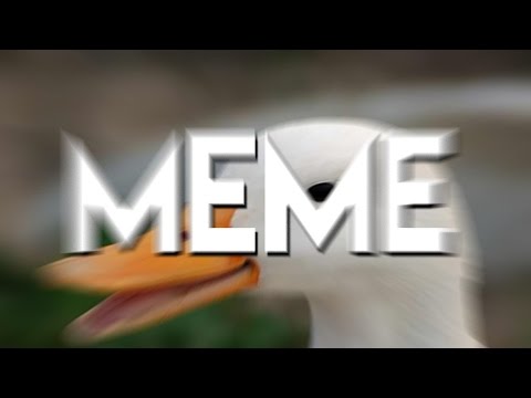 HAVE MEMES GONE TOO FAR?