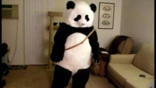 Panda Cosplay/Fursuit (Polar Bear Cafe)