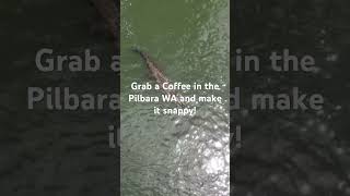 Captured this in Kununurra whilst drinking a coffee from Spilled the beans coffee