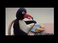 Pingu Esposito Si Sgonfia Il Pallone