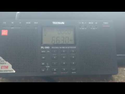 OIRT FM-DX: Sporadic-E - RUS - 66.30 MHz - Radio Rossii - 22.05.2017