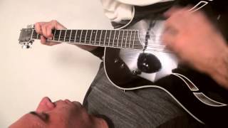 Alan Licht- "First Love, Haleema" VDSQ