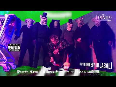 Mr. Pimp - You and Me (Lyric Video)