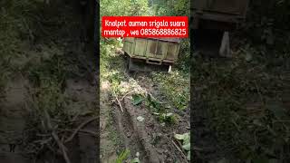 Download lagu knalpot srigala #knalpotserigala  #knalpotsrigala  #trukoleng #knalpot  #knalpotmobil mp3