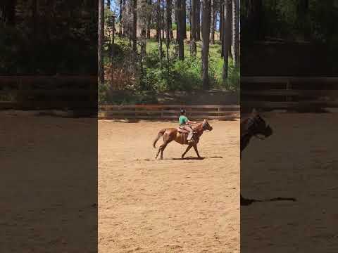 Emma riding Candi in barrels, rookie 17 and under Gymkhana. #horse #Gymkhana #barrels
