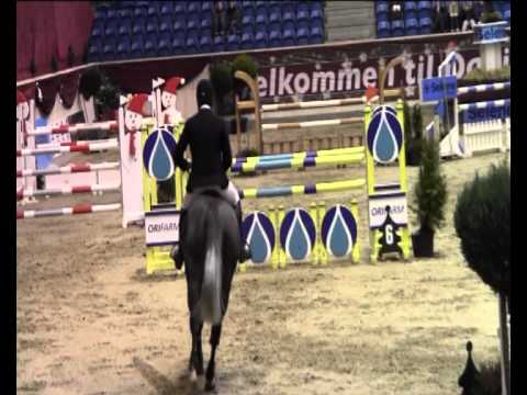 Cupido vd Hoefslag °2007 by Cartani