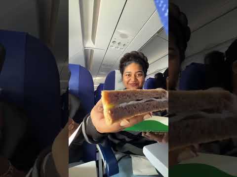 What I ate in a flight✈️🍔 #malayalam #whatieatinaday