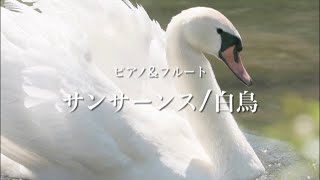 Download lagu 白鳥/サンサーンス フルート&ピアノ mp3 Download lagu 白鳥/サンサーンス フルート&ピアノ mp3