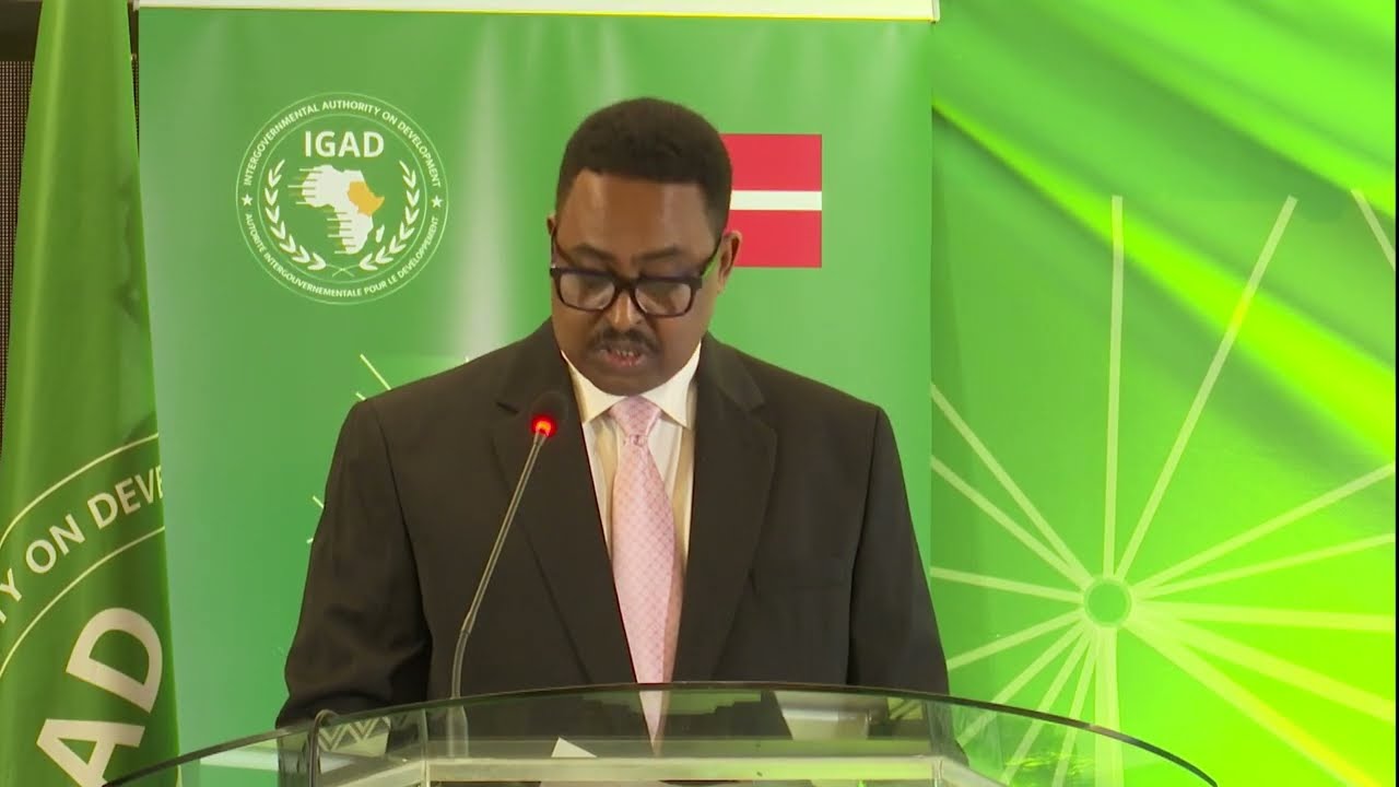 Full speech of IGAD Executive Secretary Dr. Workneh Gebeyehu - IGAD Mediation Reflection Conference