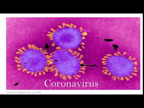 conona virus