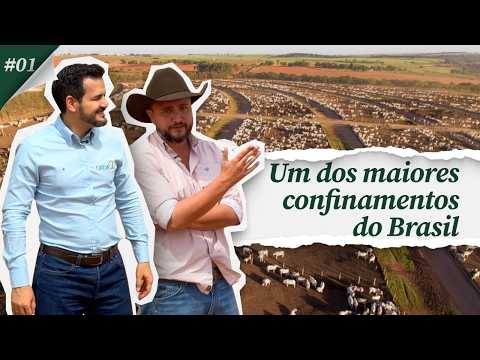 #01 Conhecendo um dos maiores confinamentos do Brasil | Rialma Agropecuária
