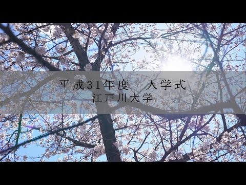 2019年 4月 江戸川大学 入学式