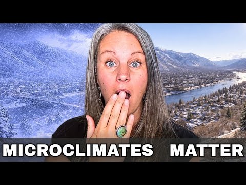 Die besten Mikroklimata in Wenatchee, WA: Wo sich die Winter am angenehmsten anfühlen