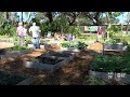 Tampa Church Creates Community Garden As A Safe Place To Socialize