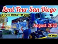 The Seal Tour San Diego San Diego Seal Tour San Diego Sea San Diego Seals