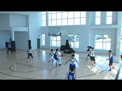 Wings vs Amigos - Saturday tier 9 FINALS - tcbl 2022 summer