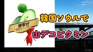 【ピクミンブルーム】韓国ソウルで山デコピクミンを取りに行く🏔️