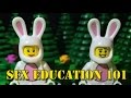 Lego Sex Education 101 (Lego stop-motion ...
