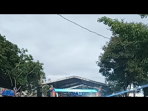 carnaval 2026 Rio Branco acre