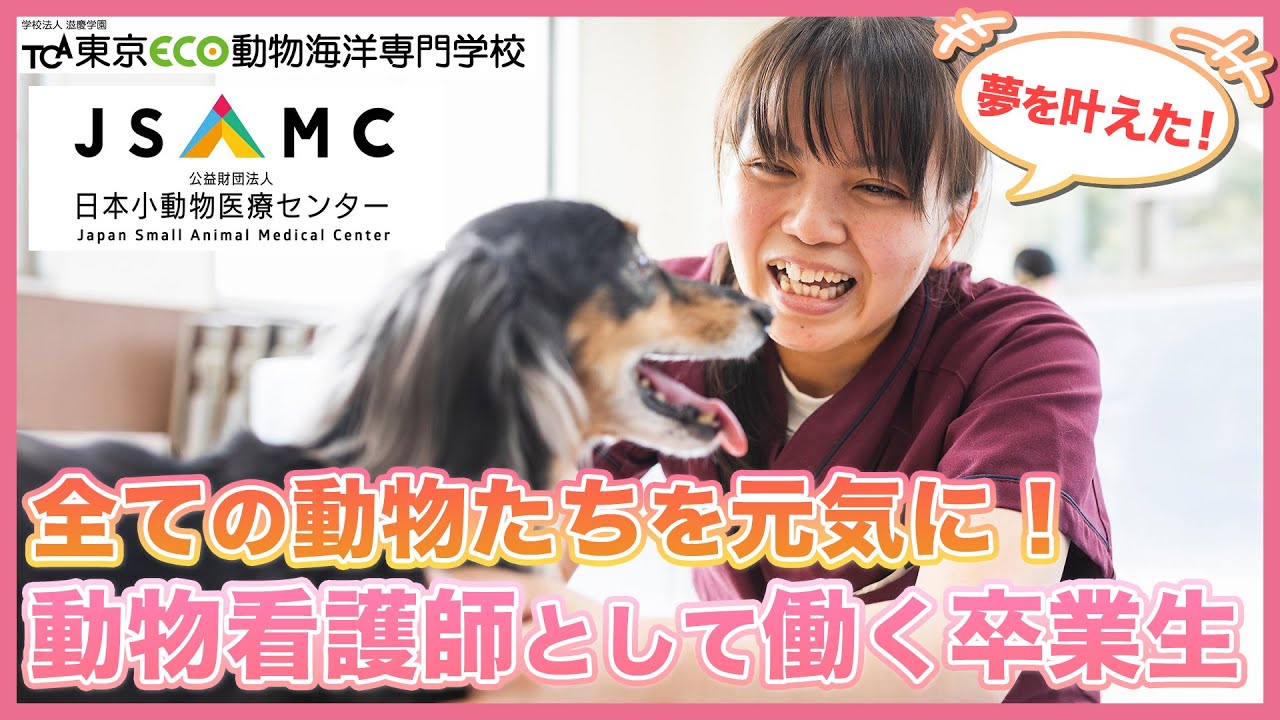 日本小動物医療センターで動物看護師として活躍する卒業生にインタビュー！