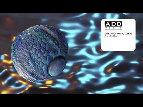 Gustavo koch & Zelig - On Fleek (Extended Mix)