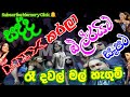 Ra Dawal Mal Hagum Backing All Right Live Super Base Jothipala Upahara Song Music On Memory Click