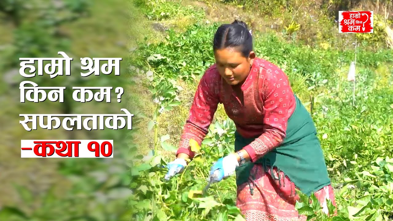 Hamro Shram Kina Kam? – Success Story 10 #actionaidnepal #hamroshramkinakam