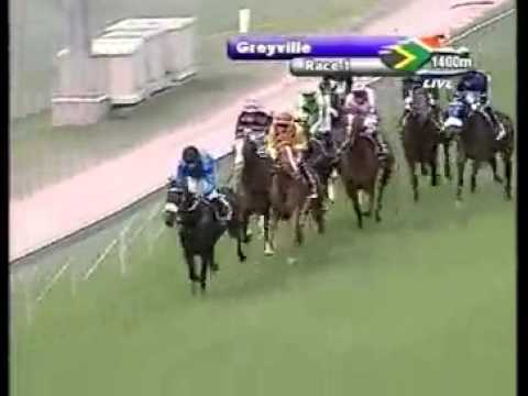 Forest Panther - 1st win - Racing Association