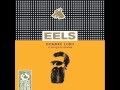 Eels - Beginner's Luck 