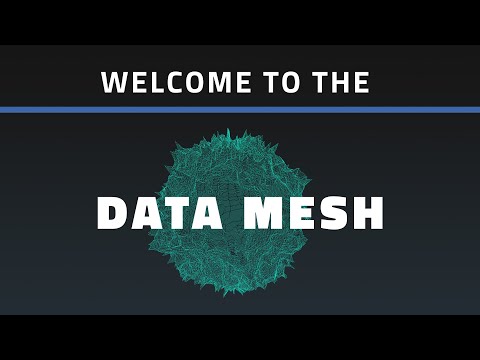 Is Data Mesh the Future?