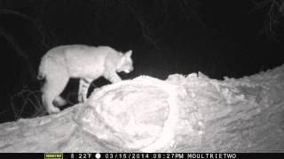 There's Trouble Brewing