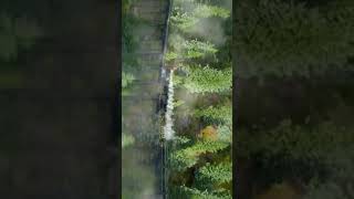 Download lagu Thakka thaiya thaiya song💕Uyire💕Whatsapp love status❤️ Best love whatsapp status/Full Screen/4k mp3