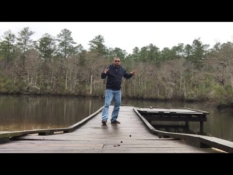 TDW 1651 - All Alone At Crystal Lake