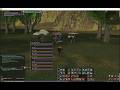 L2 REBORN 1X     FARM BOSS 40 A 50  pvp fog