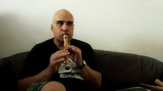 Video Renesanční variace