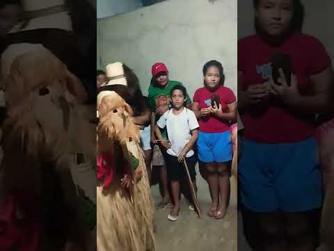 #cultura #piauiense #cavalo boa hora Piauí