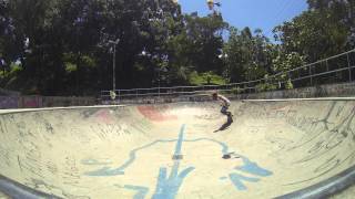 carver skateboards Jan 2015