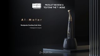 WOODPECKER AI ENDO MOTOR REVIEW & TESTING THE T-MODE FOR LEDGE BYPASSING