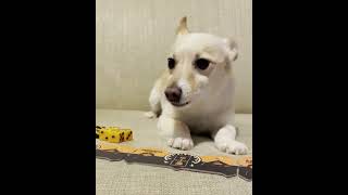 Unknown - Thunder Road video thumbnail