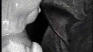 Don't Give Up The Ghost