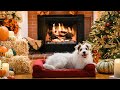 A Happy Friends Yule Log Hallmark Movies Mysteries