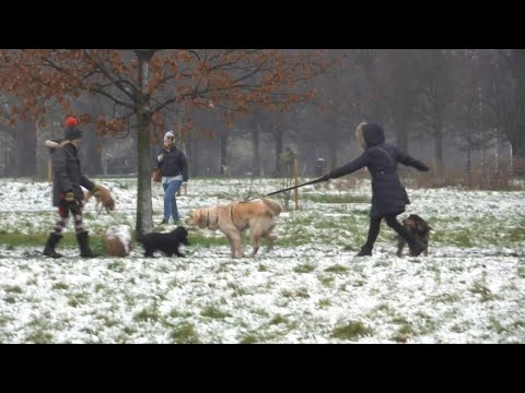 London wakes up to rare March snow | AFP