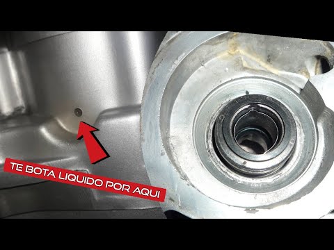 Video rápido cambio sello bomba agua outlook