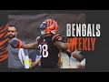 Week 11 at Pittsburgh Steelers | Bengals Weekly