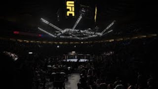 Iris--afterimage - Beating toxic player