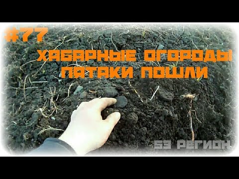 Прогулки с МД #77 - Первые пятаки сезона 2019