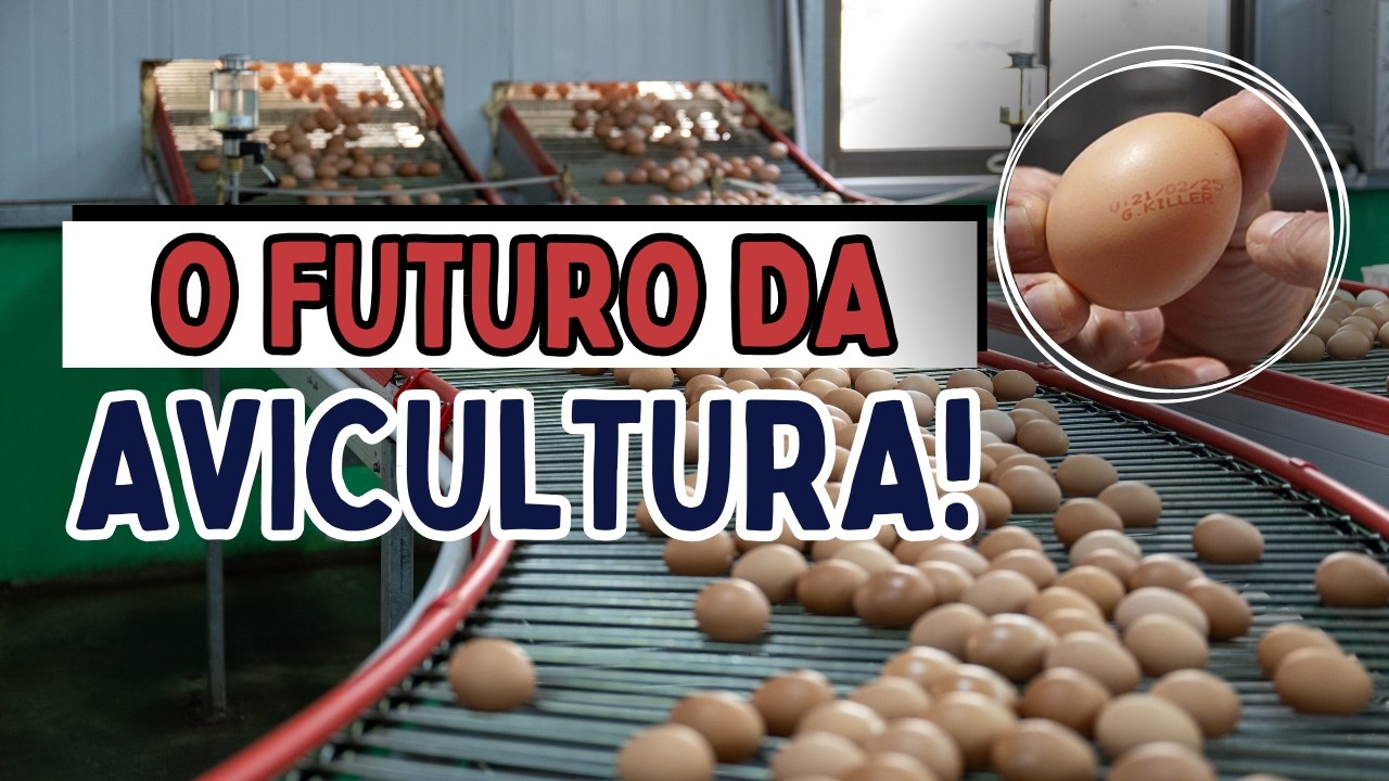 Você NÃO VAI ACREDITAR no que aconteceu quando tentei automatizar minhas Granjas